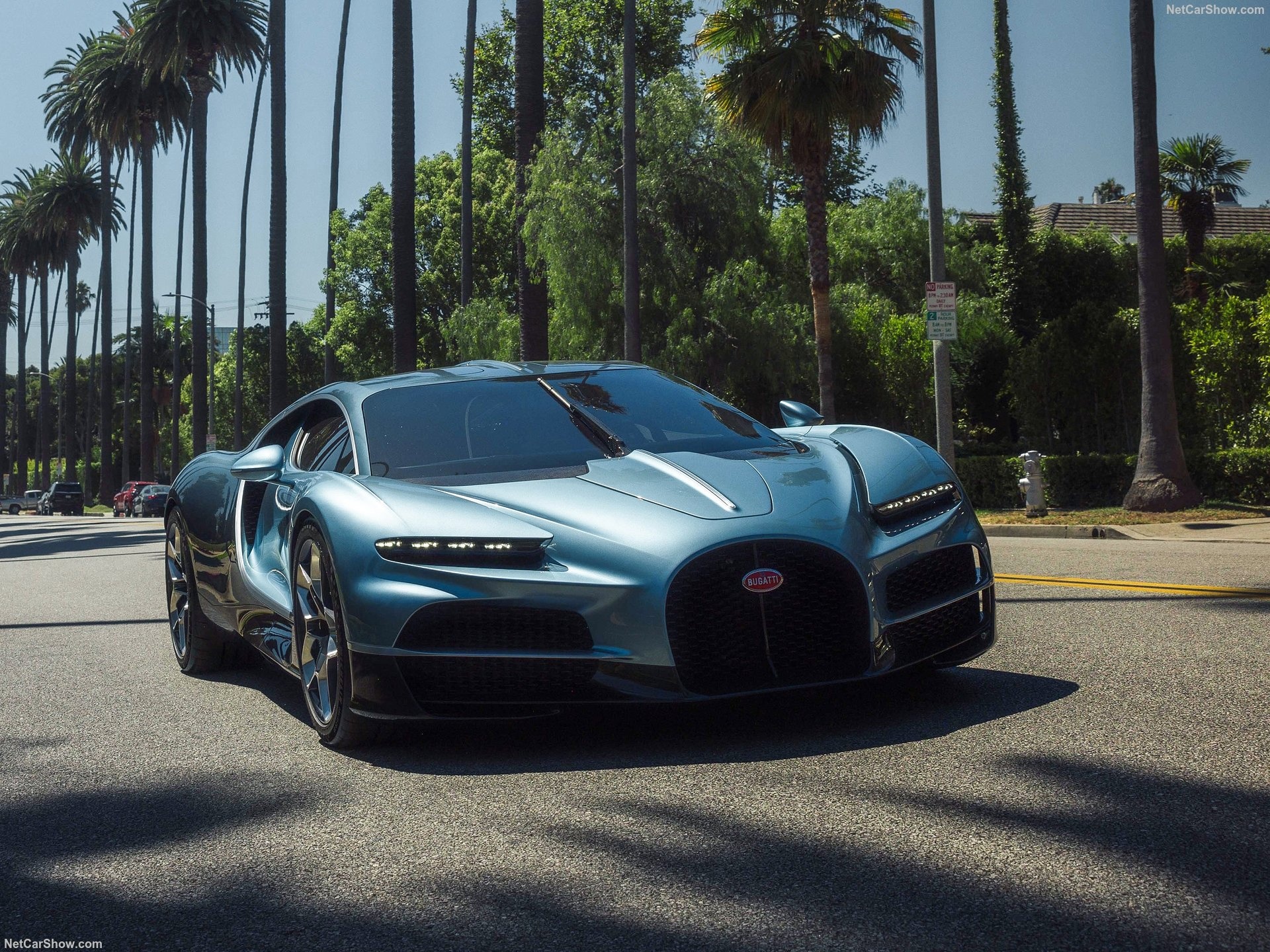 Bugatti Tourbillon Detail